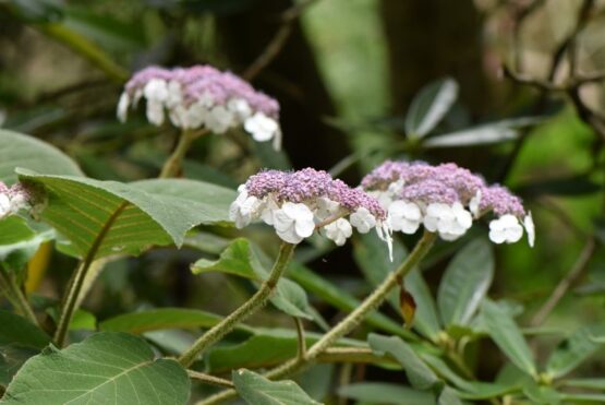 DSC_6445_web